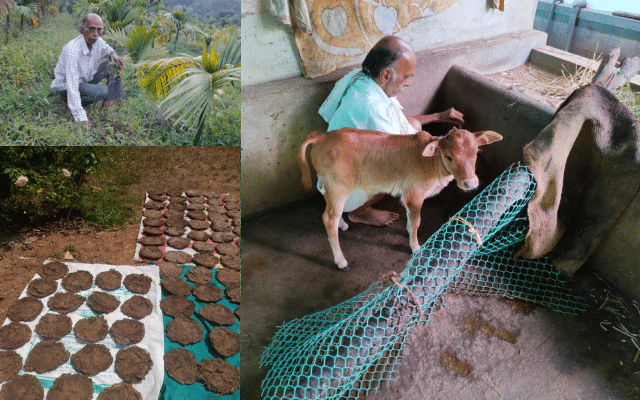 Preparation of berani with gomaya