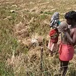 Bonded labour case detected: Farm house locked up and exploited without food