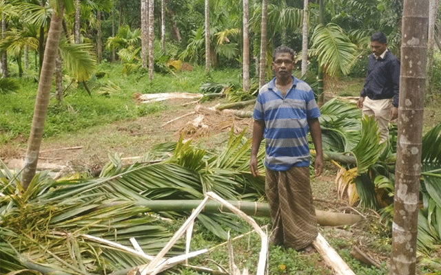 Belthangadi: Deforestation in Charmadi, Kadirudyavar