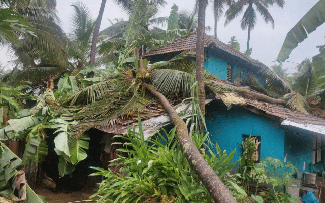 Kundapur: Coconut tree falls on house, damages