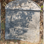 Tumakuru: Stone inscription of Kunigal of historical significance found