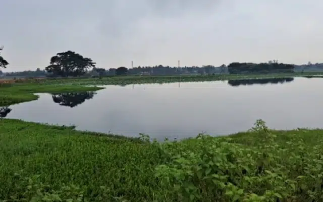 Nanjangud girl's body found in Mandya lake