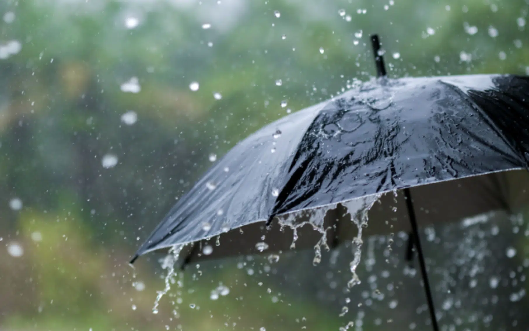 Imd issues heavy rainfall warning to Karnataka