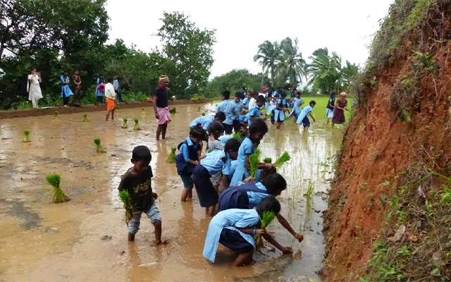 Children of Moodambailu Government School to take to the fields to plant a sapling