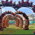 Flower show at Lalbagh from today