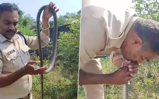 Constable reincarnates snake that fell unconscious